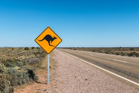 istockphoto-508046401-612x612.jpg