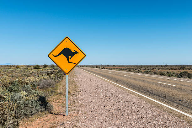 istockphoto-508046401-612x612.jpg