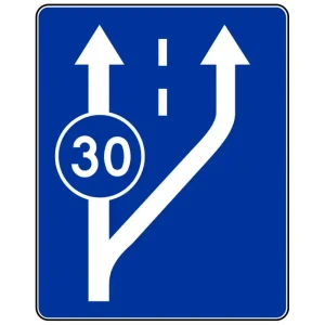 Znak drogowy D-13 - początek pasa ruchu powolnego - folia I generacji - 900x1125 mm