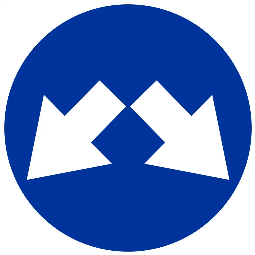 Znak drogowy C-11 - nakaz jazdy z prawej lub z lewej strony znaku - folia II generacji.webp