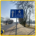 znak-drogowy-f19-pas-ruchu-dla-określonych-pojazdów-ra1.webp