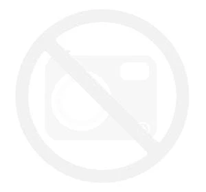 lizaki-policyjne-tarcza-do-kierowania-ruchem-10-szt.png