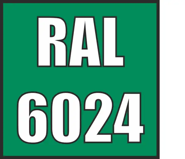 RAL 6024