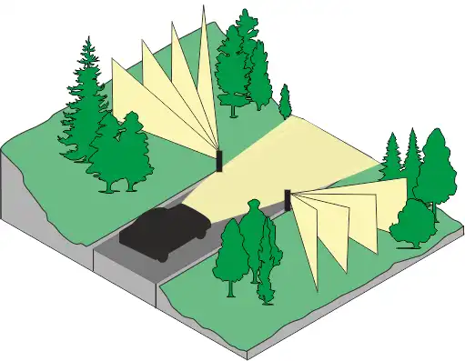 Wilcze Oczy - BIAŁE.webp